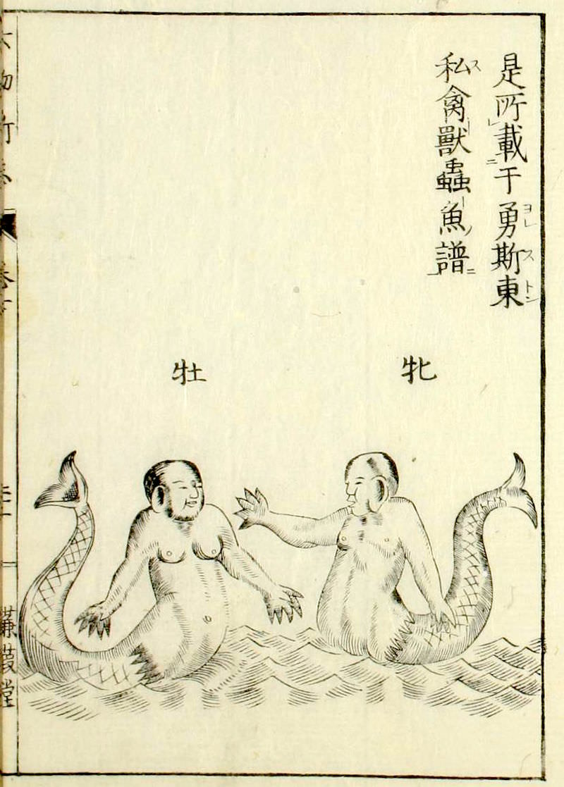 大槻玄沢が描いた人魚（『六物新志』より）の拡大画像