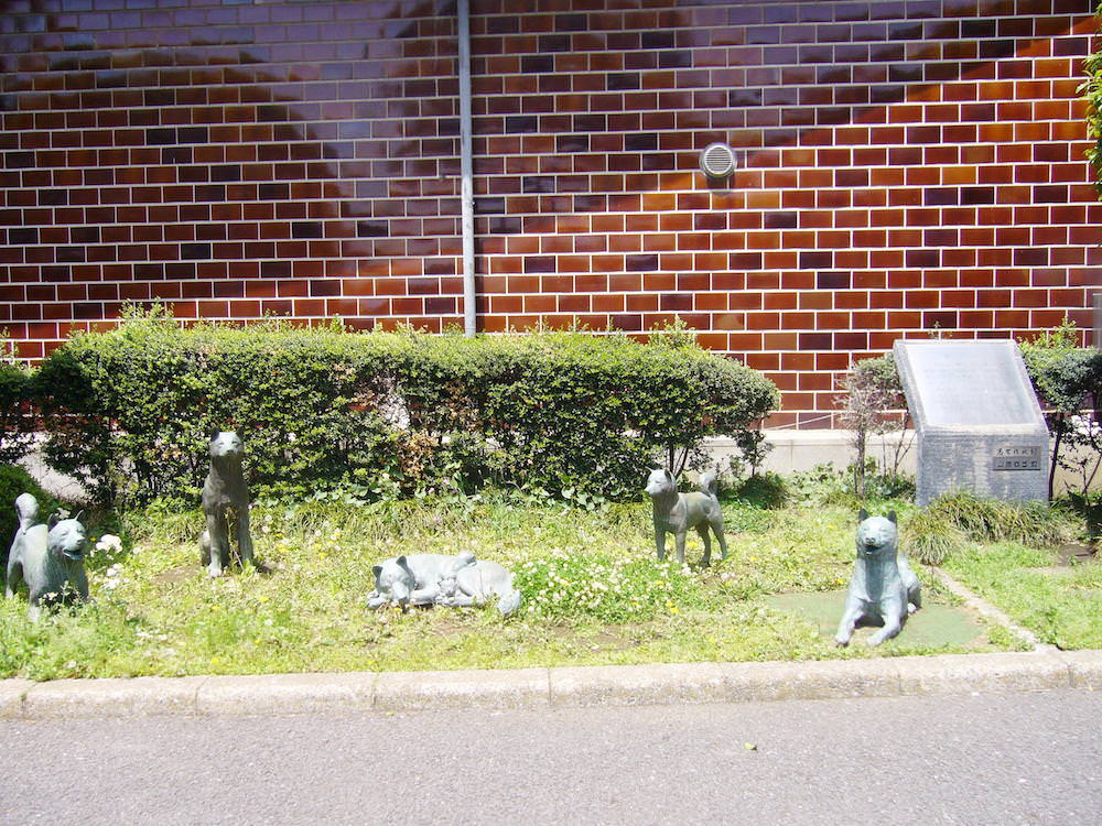 中野区役所前 犬の像の拡大画像