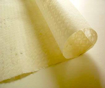 江戸時代は和紙が避妊具として使われていた（拡大画像）