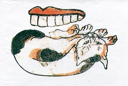 判じ絵：ヒント「歯とさかさまになった猫で」（『東海道五十三次はんじ物』歌川芳藤 画）の拡大画像