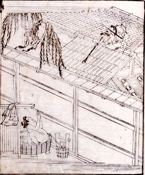 江戸時代のベストセラー26作品をまとめたらカオスだった 今だと物議をかもす本も 4 江戸ガイド