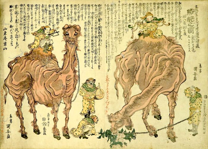 江戸時代、見世物にかけられたアジア象（『中天竺舶来大象之図』歌川芳豊 画）
