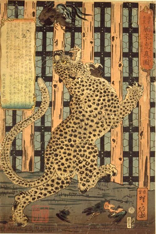 江戸時代、豹は虎のメスと考えられていた（『舶来虎真図』）
