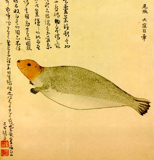 江戸時代、熱田の海沿いに迷い込んだアザラシ（『海獣図』大窪昌章 画）