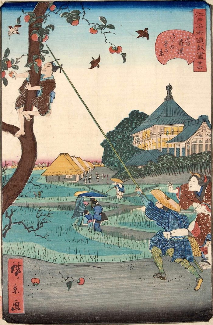 「廿六　五百羅漢さゝゐ堂の景」（1859年）（『江戸名所道戯尽』より、歌川広景 画）の拡大画像