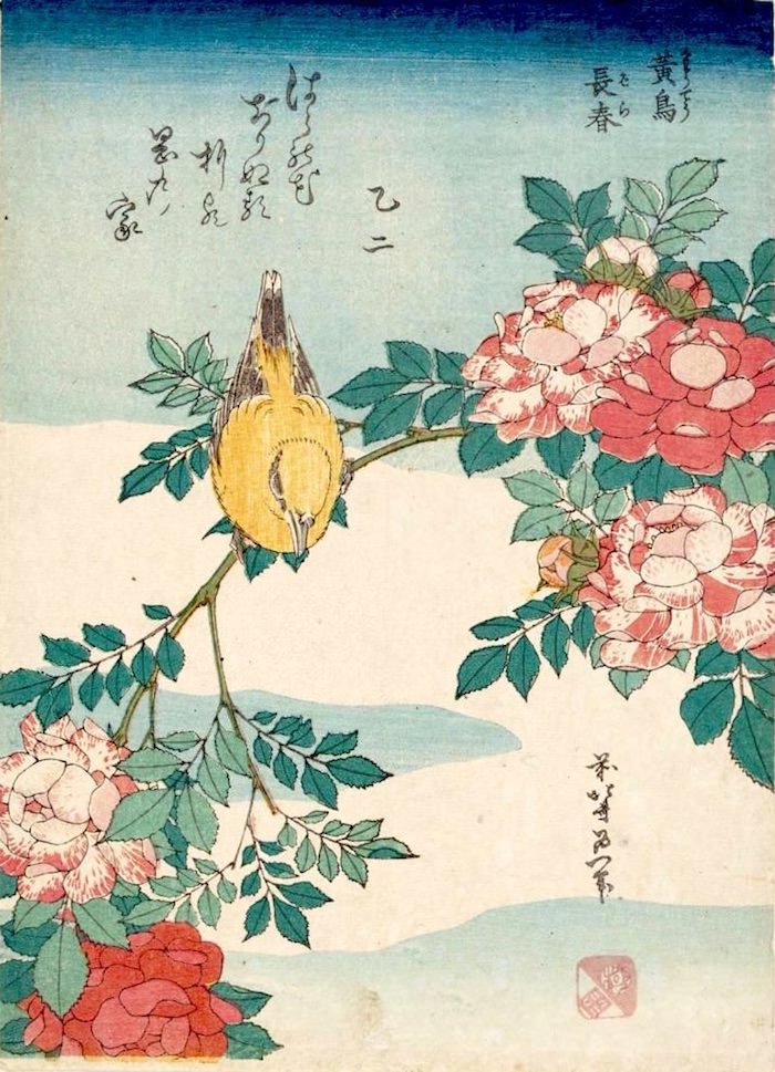 『黄鳥　長春（こうちょう　ばら）』（葛飾北斎 画/1834年頃）の拡大画像