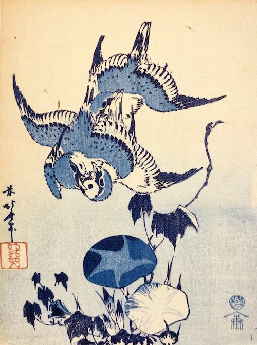 『小禽に朝顔』（葛飾北斎 画/1830〜31年頃）