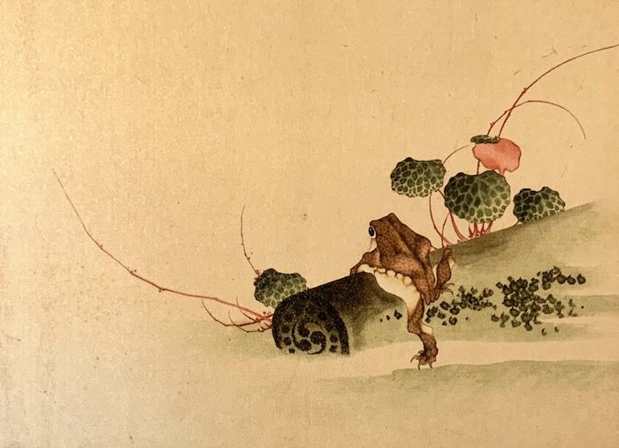 『肉筆画帖』「蛙とゆきのした」（葛飾北斎 画/1835〜44年頃）