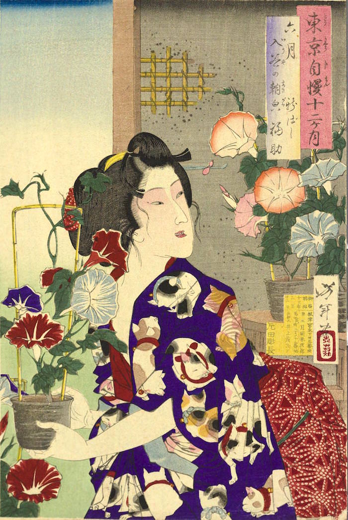 『東京自慢十二ヶ月 六月 入谷の朝顔 新ばし 福助』（月岡芳年 画／1880年）の拡大画像