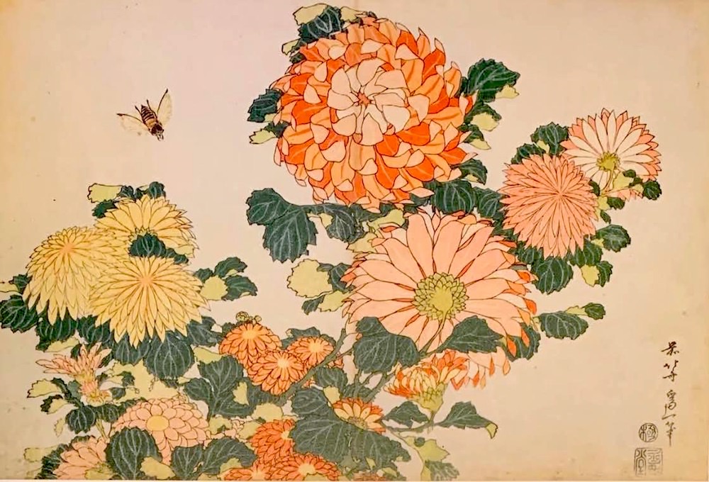 『菊に虻』（葛飾北斎 画）の拡大画像