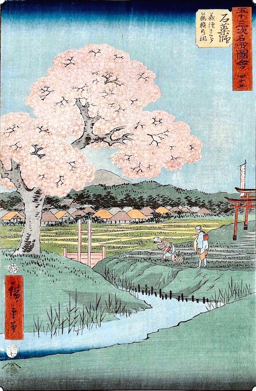 Ishiyakushi: Yoshitsune's Cherry Tree and the Shrine of Noriyori (Ishiyakushi, Yoshitsune sakura Noriyori no hokora)