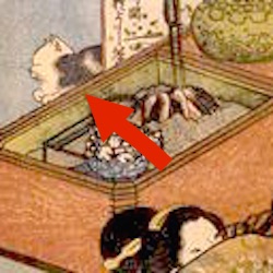 A cat appearing in shunga